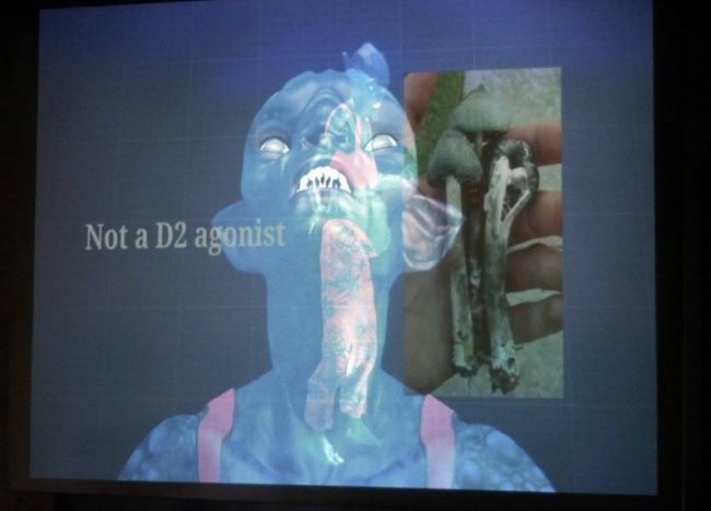 18193262_1182672875189045_993993919737348247_o