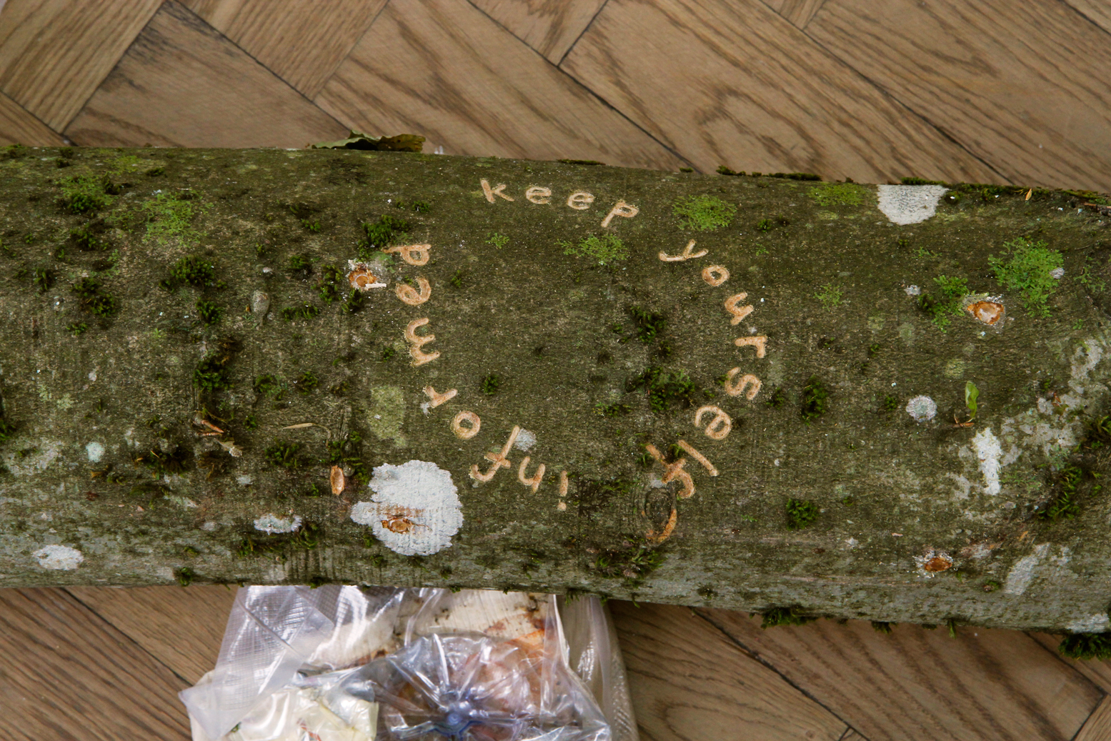 Mycological_Twist_1_Exhibitionview_Kunsthaus_Langenthal_Foto_Raffael_Doerig