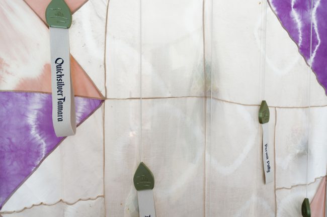 troll_swamp_quote_unquote_LR-4