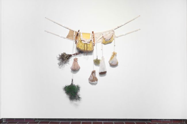 the_mycological_twist_foraging_bags_2020_LR-1