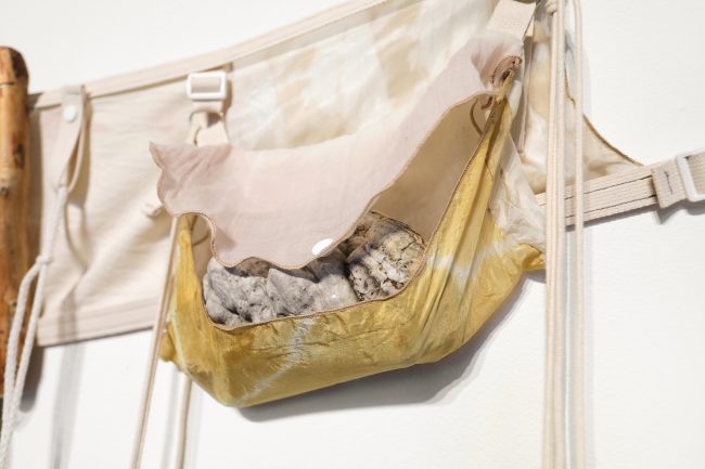 the_mycological_twist_foraging_bags_2020_LR-4