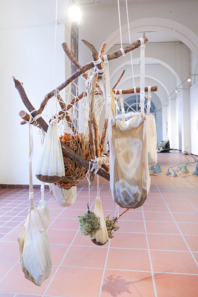 the_mycological_twist_foraging_bags_2020_LR-6