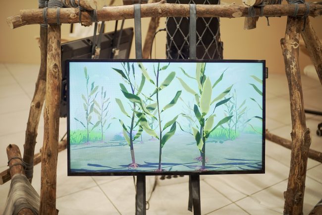 the-Mycological-Twist_photo-Nysos-Vasilopoulos-(19)