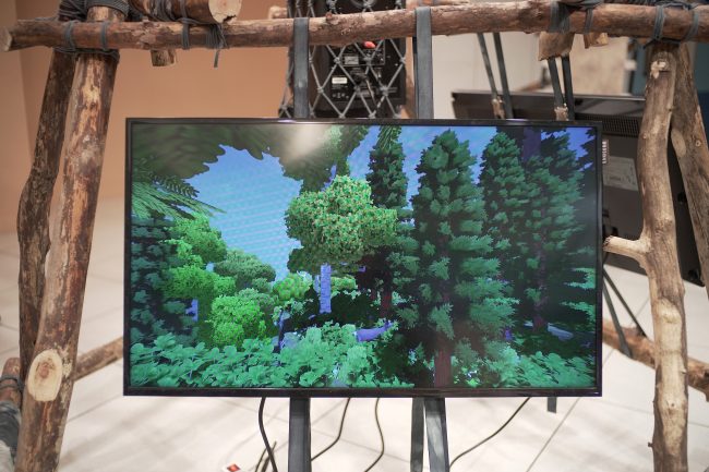 the-Mycological-Twist_photo-Nysos-Vasilopoulos-(23)