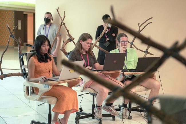 the-Mycological-Twist_photo-Nysos-Vasilopoulos-(5)