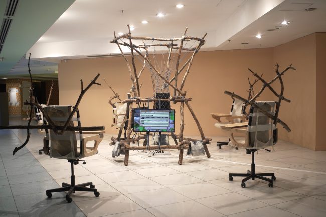 the-Mycological-Twist_photo-Nysos-Vasilopoulos-(5)