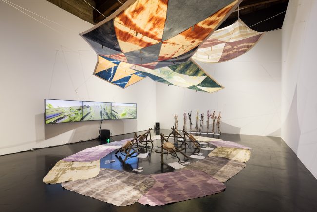 Web_CAPC_Academie_des_Mutantes_The_Mycological_Twist_052022_photo_Arthur_Pequin_M5A1790