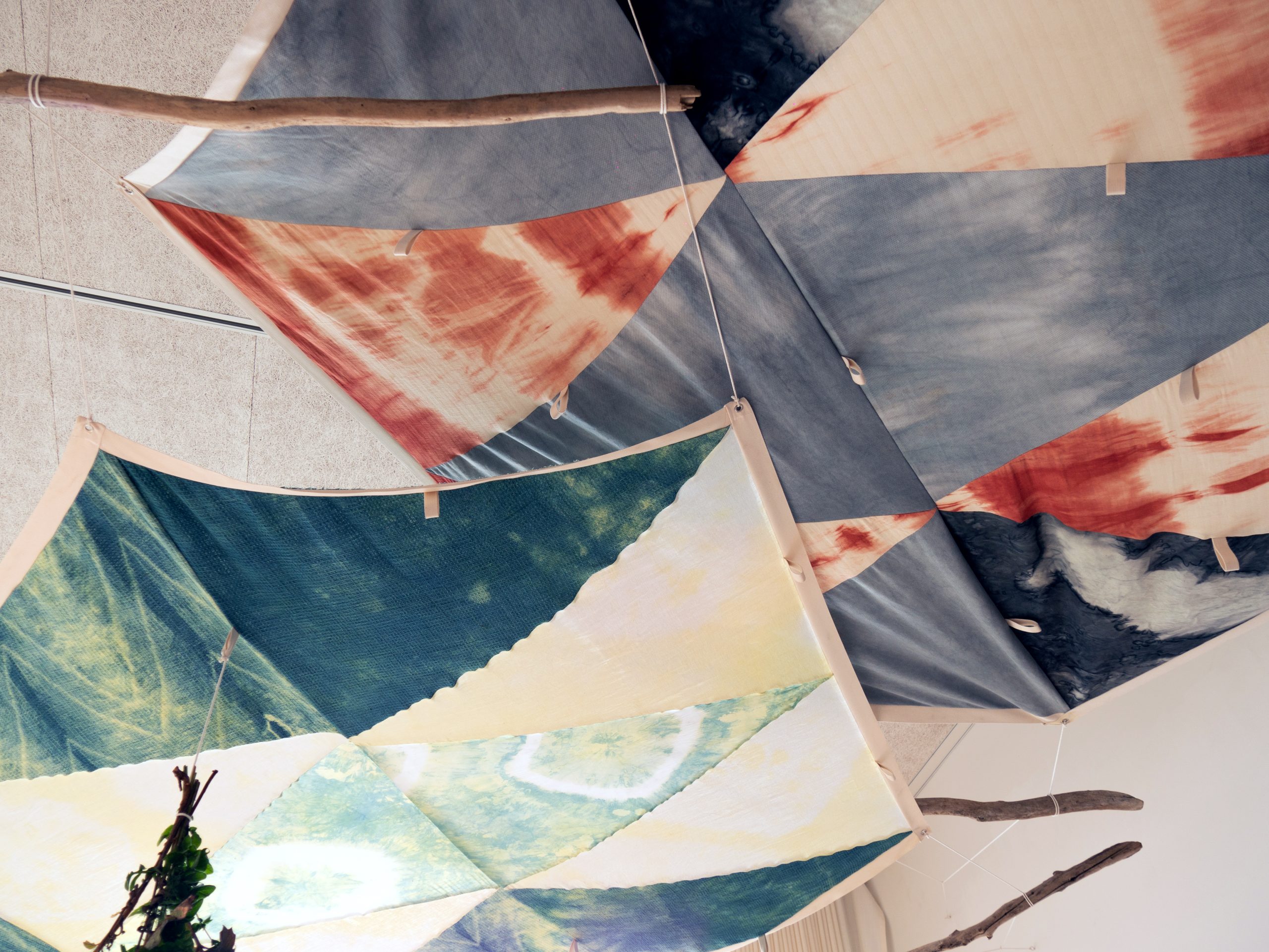 the_mycological_twist_Maratus_Canopy_2021_HR-6