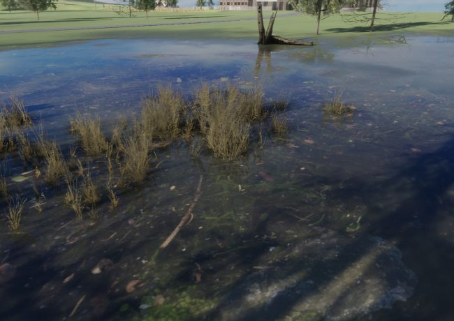 they_dig_in_suitable_soil_the_mycological_twist_screen_grabs4