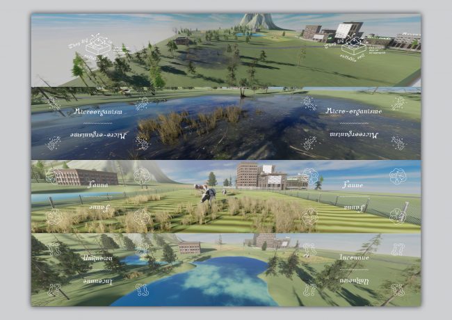 they_dig_in_suitable_soil_the_mycological_twist_screen_grabs5