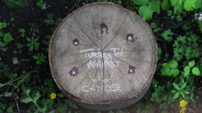 ‘Through Growth Rings My Affection Ponders’ by The Mycological Twist (5)