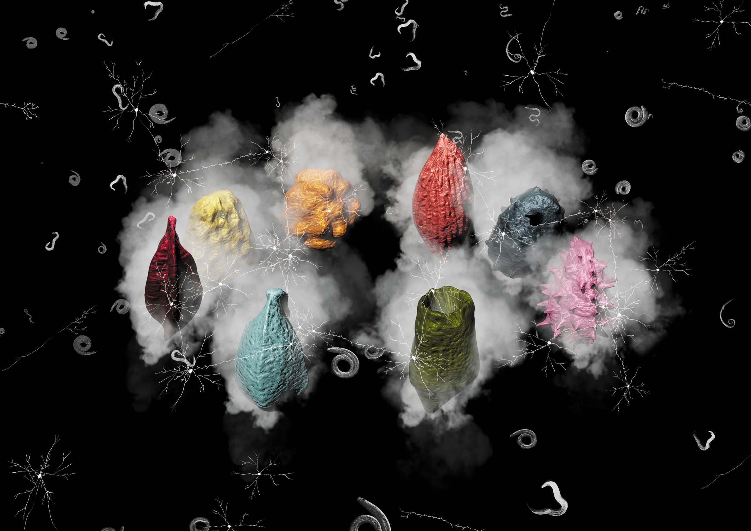 the_Mycological_Twist_Ballad_to_Detritus_landscape